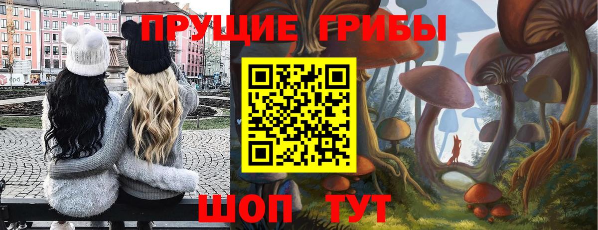 Изобильный  Псилоцибиновые грибы GOLDEN TEACHER  Вход с VPN 