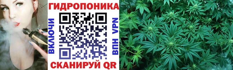 Бошки Шишки семена  Изобильный 